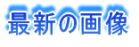 �ŐV�̉摜