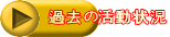 過去の活動状況